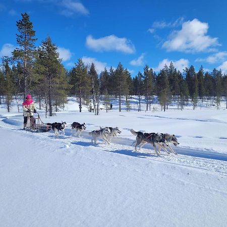 Aurora Queen Resort Igloos Saariselka Ngoại thất bức ảnh